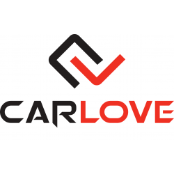 CarLove Logo Decal
